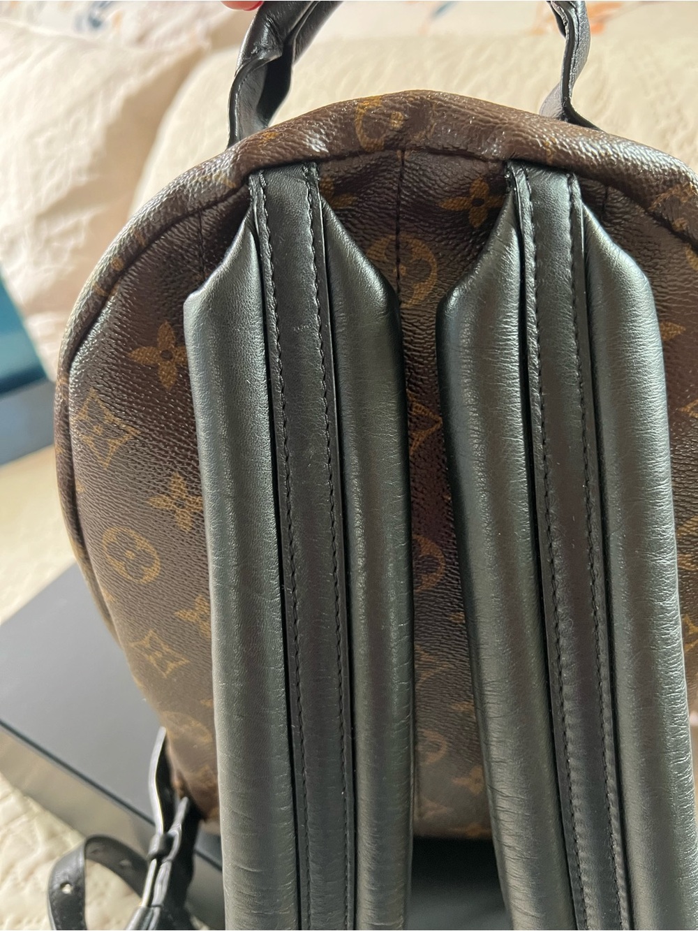Louis Vuitton Monogram Palm Springs PM Backpack - Picture 4 of 16